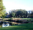 It's tough to find the right spot to hit your drive on the par-4 17th hole on the Hills Course at Palmetto Dunes Resort.