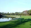 The green on the Palmetto Hall Plantation's Hills course's par-5 fifth hole is guarded by water on the right.