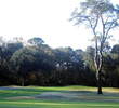 The par-3 seventh hole on the Arthur Hills course at Palmetto Hall Plantation is 397 yards from the championship tees.