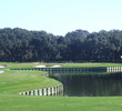 The par-3 eighth hole on Palmetto Dunes Resort's Oceanfront Course is a long carry over water.