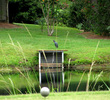 Rose Hill Golf Club, a residential golf course, still features a lot of wildlife, from birds to alligators.
