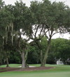 No. 10 at Morgan River at Dataw Island Golf Course puts lots of trees in your way, particularly if you drift left.