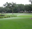 No. 10 at Morgan River at Dataw Island Golf Course is a dogleg left that wraps around a marsh most of the length of the hole.