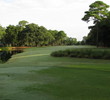 Physically, the vegetation in front of the No. 4 tee at Morgan River at Dataw Island Golf Course doesn't come into play but it does visually.