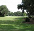 Hanging branches will play havoc for those hitting from the mid to front tees on the Fazio course at Palmetto Dunes Oceanfront Resort. They give a tiny window to avoid sand on the left.