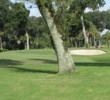 If you drift right on the second hole on the Fazio course at Palmetto Dunes Oceanfront Resort, there's not much opportunity to hit the green on your approach shot.