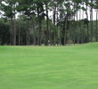 The first green on Callawassie Island Club's Palmetto golf course can be measured in acres. It's large, fast and will send putts on a roller coaster ride.