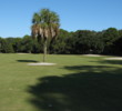 A lone palm in the middle of the fairway of No. 11 Barony Course at Port Royal Golf Club could block out a perfect approach angle.