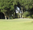 The 12th green at Barony Course at Port Royal Golf Club is sloped, with a trio of bunkers around it.