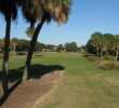 The 13th tee shot has to be threaded between palms left and water right on the Barony Course at Port Royal Golf Club.