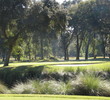 A view obscured by trees on the Planter's Row course at Port Royal Golf Club - get used to it.