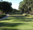 A tiny fairway squeezed between trees is standard operating procedure at the Planter's Row course at Port Royal Golf Club.