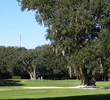 Trees block out the left side of the eighth green at Harbour Town Golf Links.