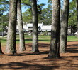 Welcome to jail on the ninth fairway, a common predicament at Harbour Town, given the sliver-thin fairway.