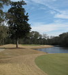 A magnolia tree on the par-3 No. 13 is a factor to contend with at Old Tabby Links on Spring Island, S.C.