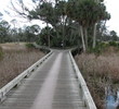 The second and 18th tees share a portion of a raised cart path on the Ocean Creek golf course at Fripp Island Resort.