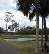 The third hole on the Ocean Creek golf course at Fripp Island Resort is a par 3 over water to a generous green.