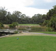 From the back, the fifth hole on the Ocean Creek golf course at Fripp Island Resort demands an accurate, long tee shot.
