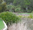 The eighth tee on the Ocean Creek golf course at Fripp Island Resort has a dense, tropical feel.