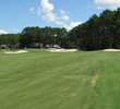 The 10th green at Eagle's Pointe Golf Club is a fortress but fun. 