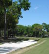 A waste bunker and arching trees make it rough sledding from the left on the fifth hole of the Dye course at Colleton River Plantation.