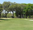 Live oaks serve as backdrops for the fifth green on the Dye course at Colleton River Plantation.