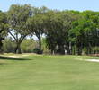 Live oaks serve as backdrops for the fifth green on the Dye course at Colleton River Plantation.