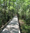 It's a bit of a hike to the tips on No. 9 on the Dye course at Colleton River Plantation.