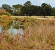 The 13th hole at the Oldfield Golf Club plays along a river marsh. 