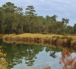The first hole starts off with a bang at the Sanctuary Golf Club at Cat Island in Beaufort, S.C.