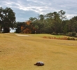 A snapping turtle crosses the 15th fairway at the Sanctuary Golf Club at Cat Island.