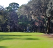 Overhanging branches make hitting the 17th green at the Golden Bear Golf Club at Indigo Run a chore. 