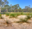 Unlike Sea Pines' Harbour Town and Heron Point golf courses, Atlantic Dunes features waste areas and wire grass.