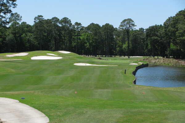 Hilton Head National - Weed course - hole 6