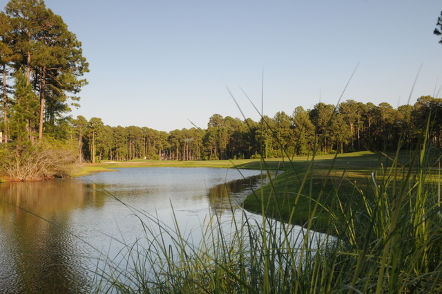 Robert Cupp Course at Palmetto Hall Plantation - hole 13