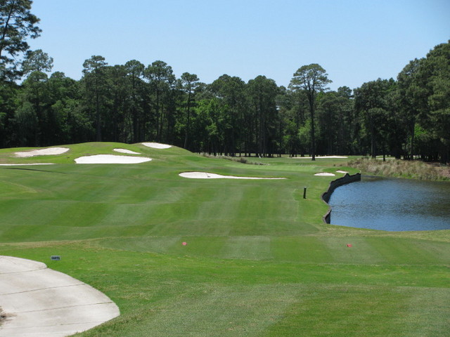 Hilton Head National - Weed course - hole 6