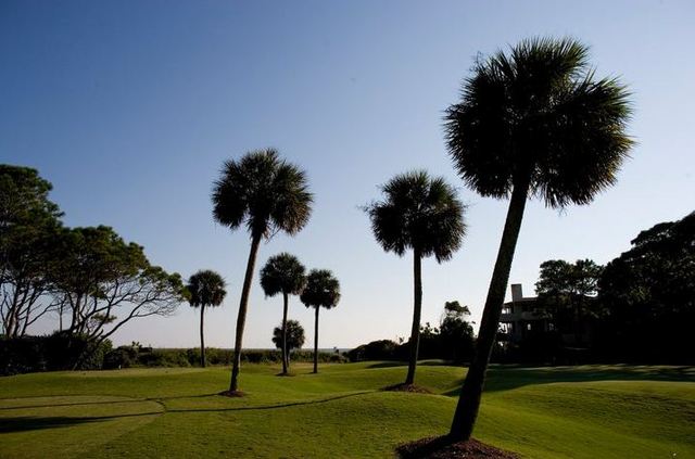 Sea Pines Resort (Ocean course) - No. 15