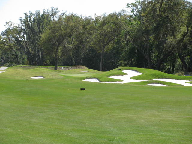 Colleton River Plantation - Dye golf course - No. 8