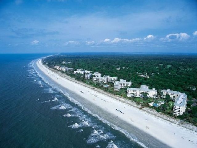 Palmetto Dunes Oceanfront Resort - aerial