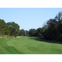 The par-5 sixth hole on the Hills Course at Palmetto Dunes Resort narrows as it reaches the green.