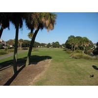 The 13th tee shot has to be threaded between palms left and water right on the Barony Course at Port Royal Golf Club.