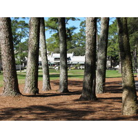 Welcome to jail on the ninth fairway, a common predicament at Harbour Town, given the sliver-thin fairway.