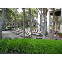 Many of the decks at Westin Hilton Head Island Resort and Spa are shaded, adding more comfort and versatility to a poolside seat.