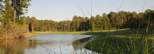Cupp @ Palmetto Hall - #13