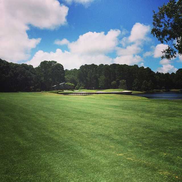 Dolphin Head Golf Course in Hilton Head Island