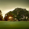 Sunny view from Old South Golf Links