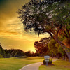 View from Old South Golf Links