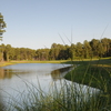 Cupp Course at Palmetto Hall: View from no. 13