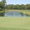 Cupp Course at Palmetto Hall: View from no. 18