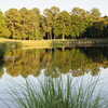 Cupp Course at Palmetto Hall: View from no. 16